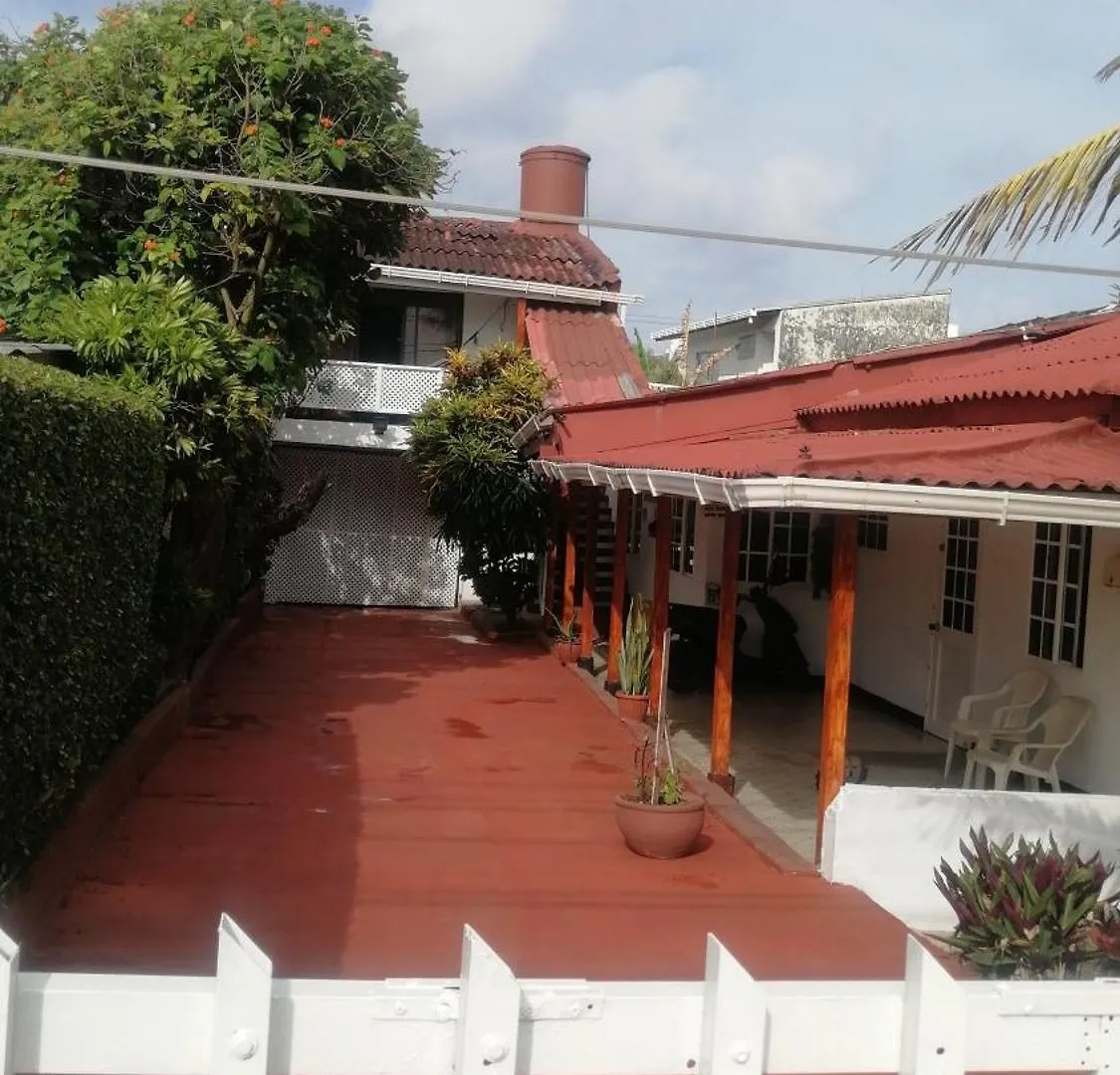 Aptos Miss Ada San Andrés